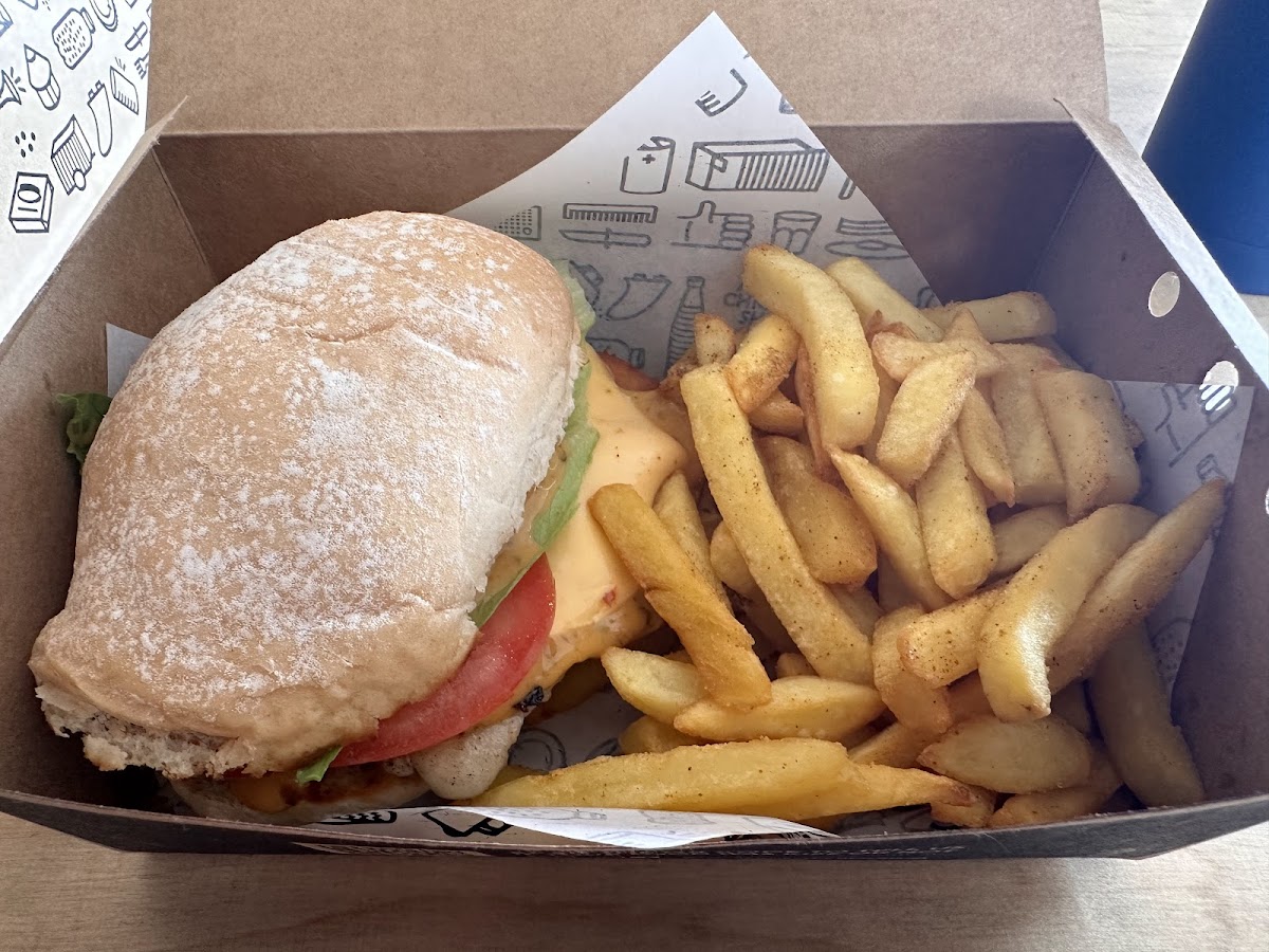 Slide Background Image