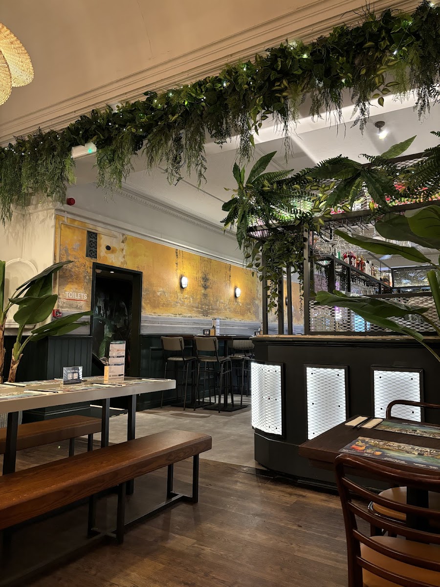 Slide Background Image