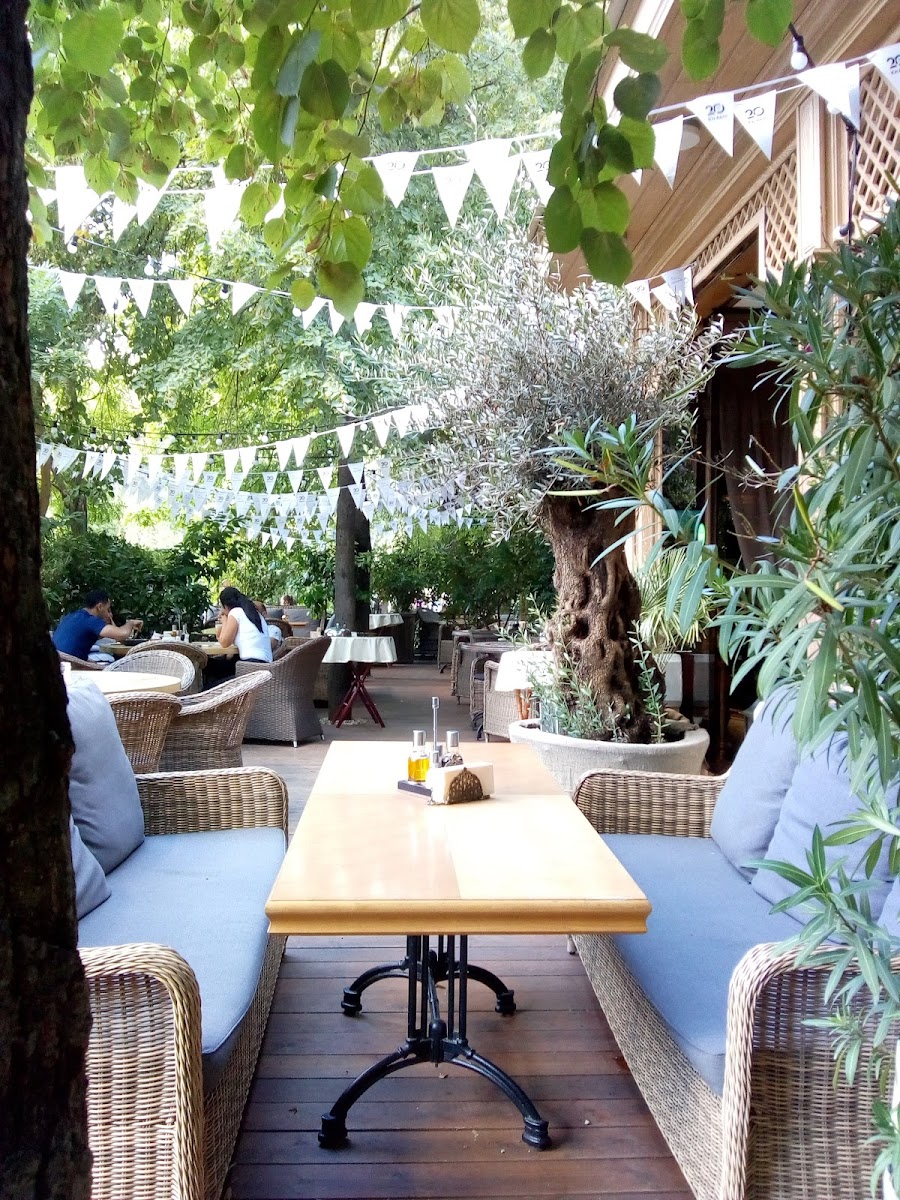 Slide Background Image