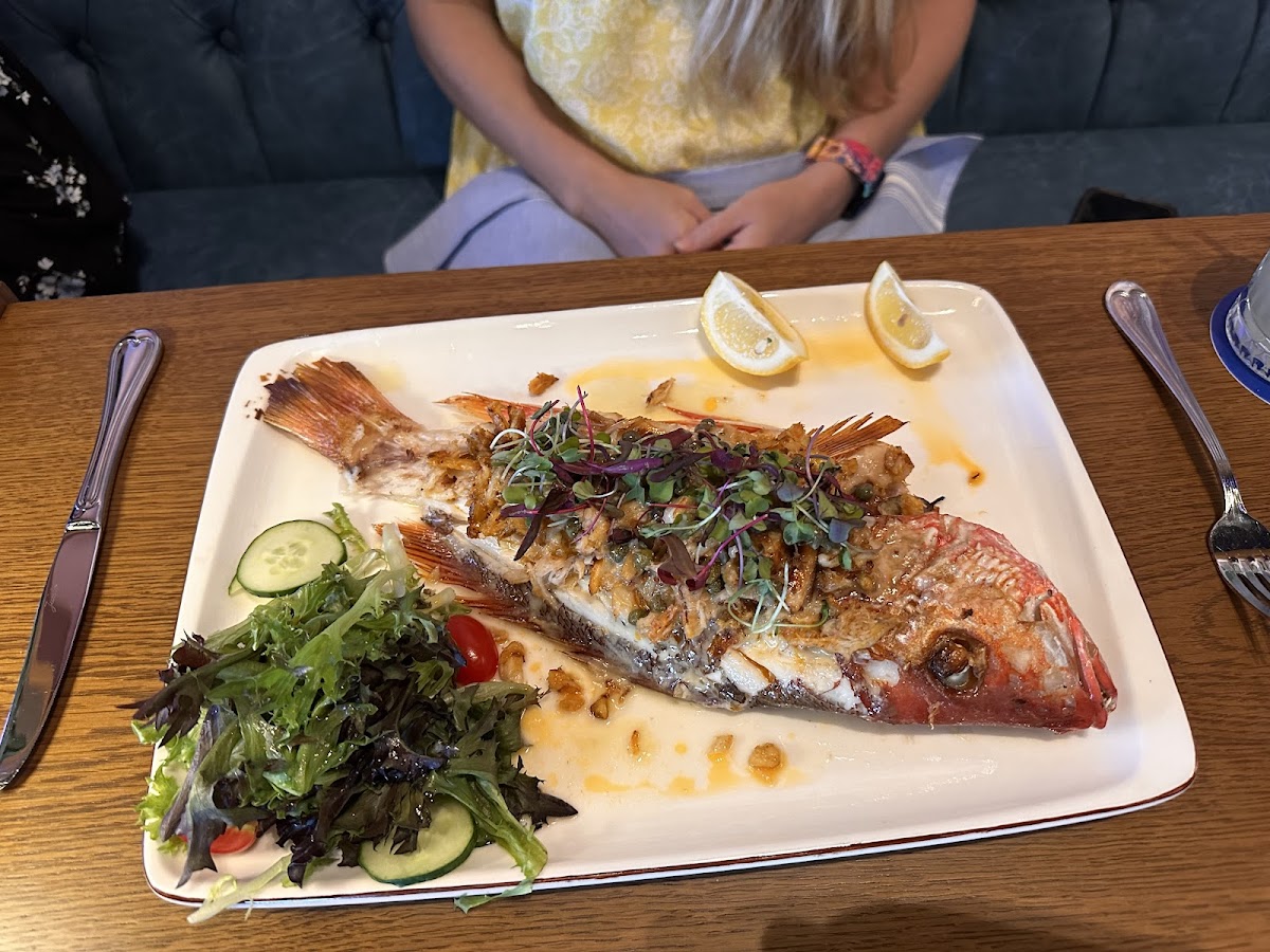 Slide Background Image