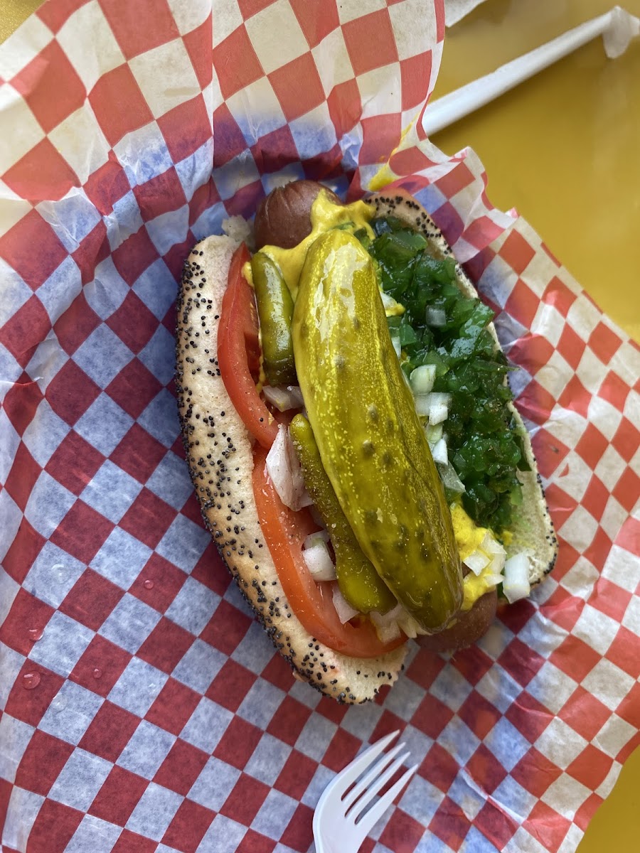 Slide Background Image