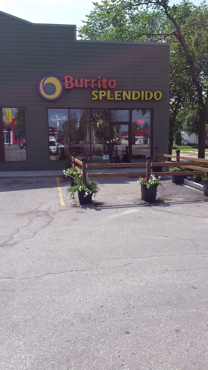 Slide Background Image