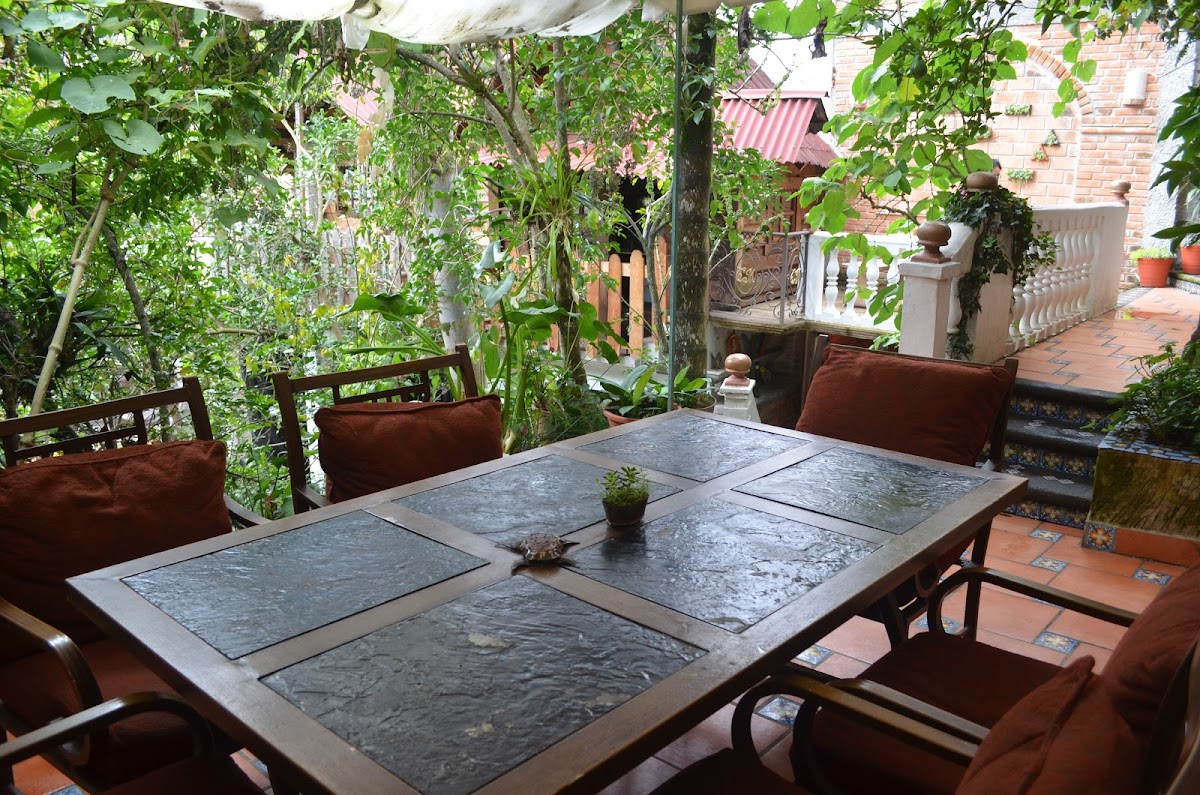 Slide Background Image