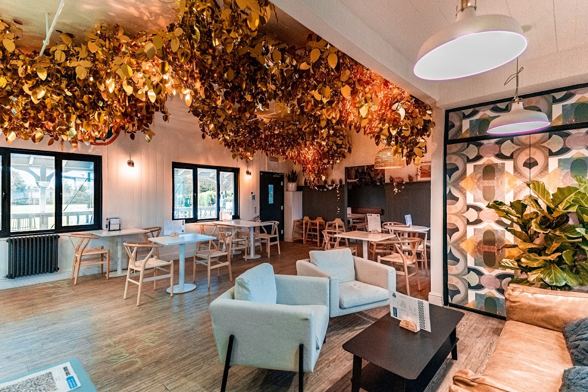 Slide Background Image