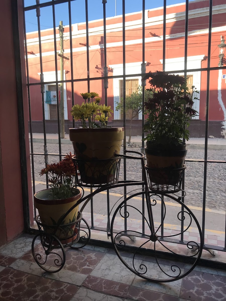 Slide Background Image