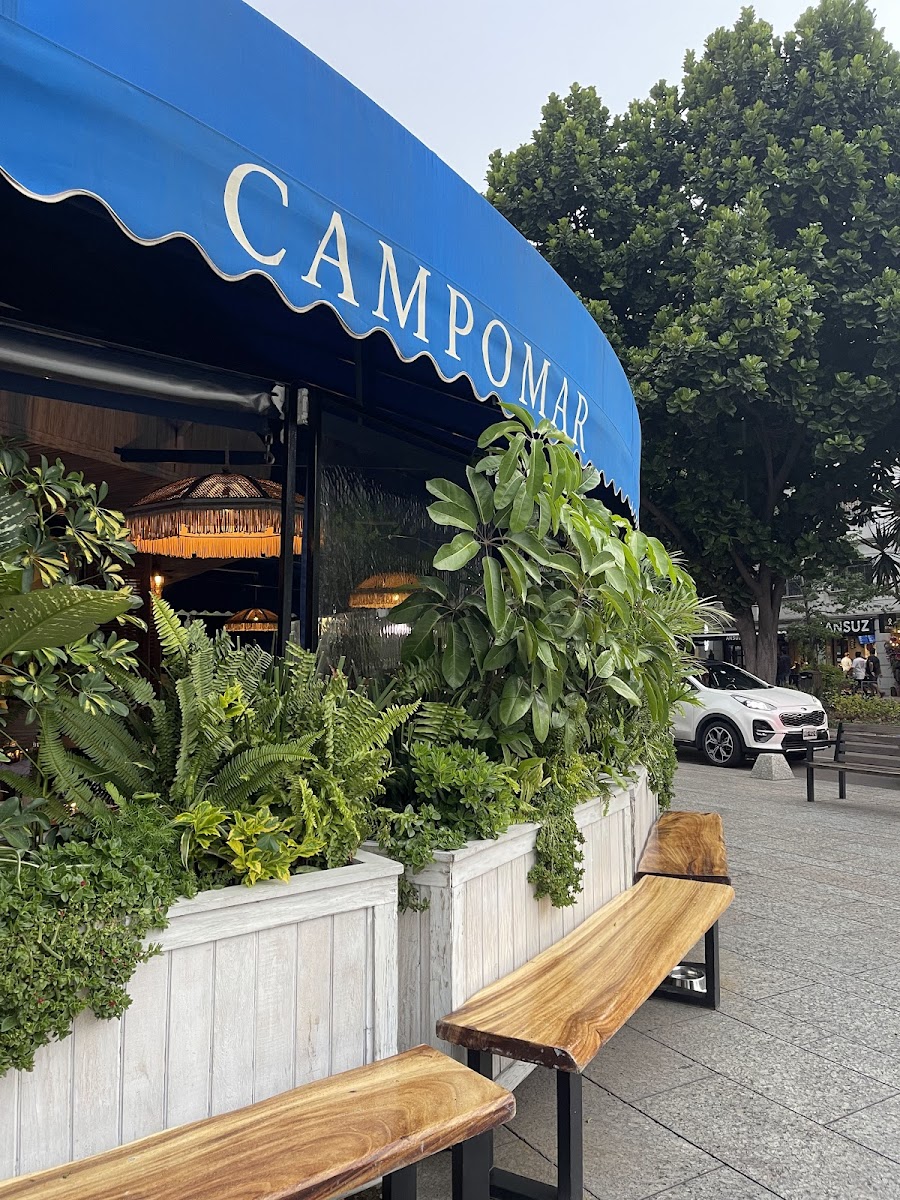 Slide Background Image