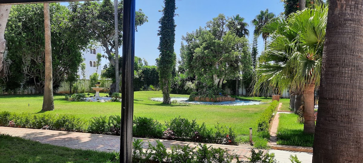 Slide Background Image