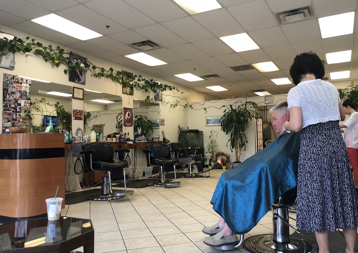 Chantilly Barber & Hair