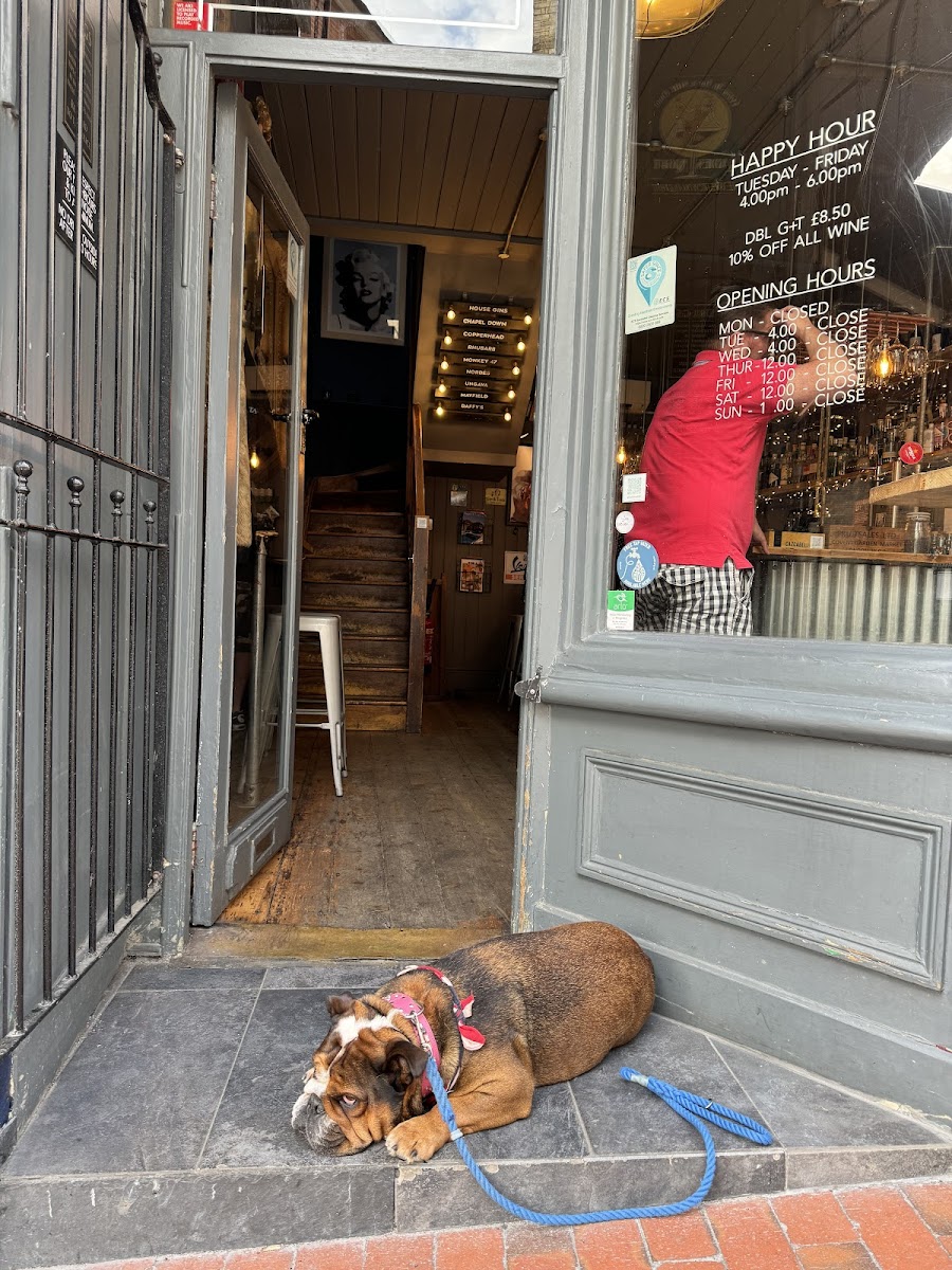 Slide Background Image