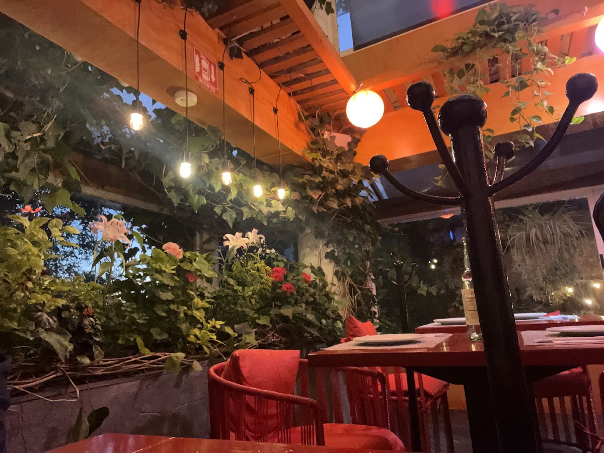 Slide Background Image