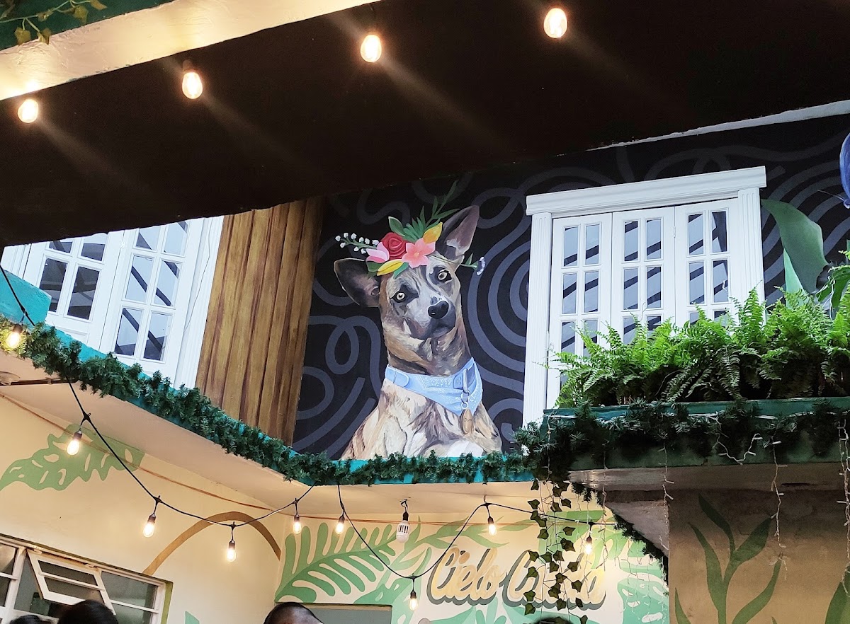 Slide Background Image