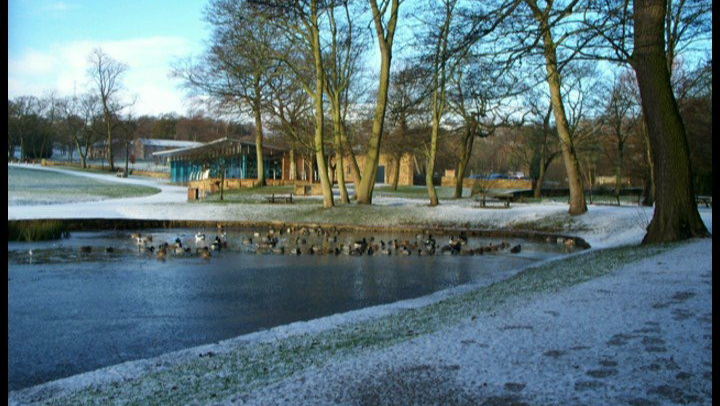 Slide Background Image