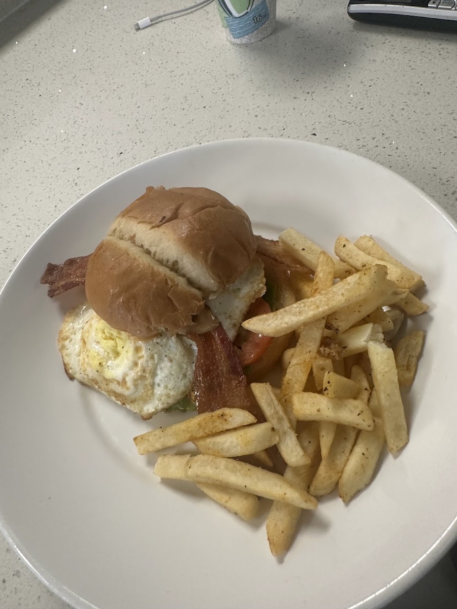 Slide Background Image