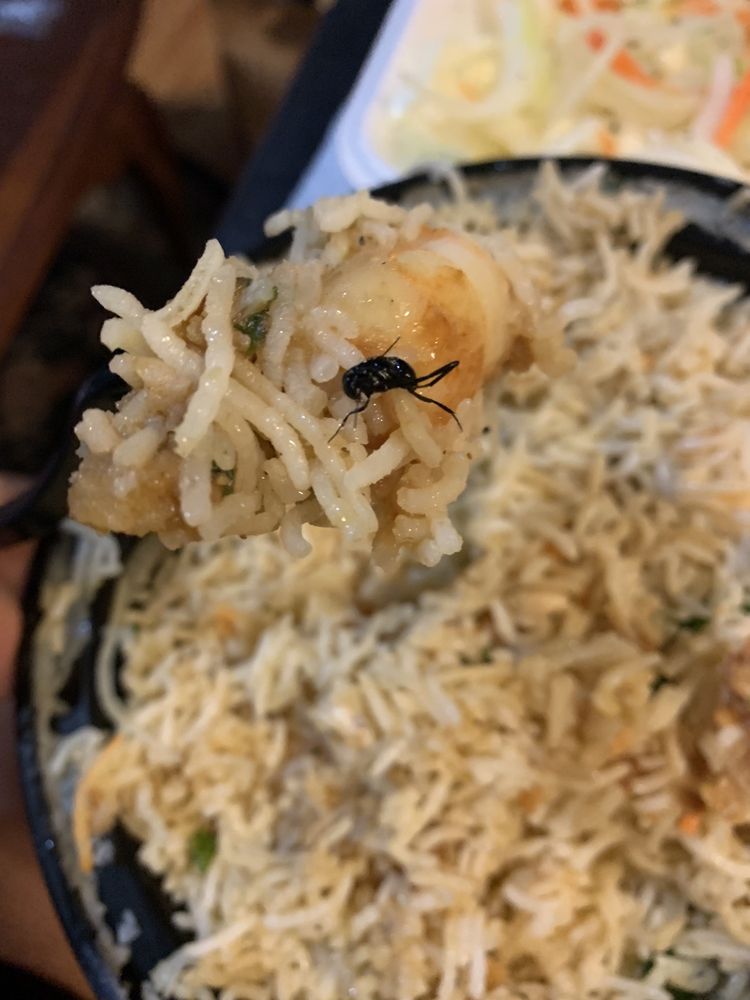 DANIEL KTR BIRYANI CURRY