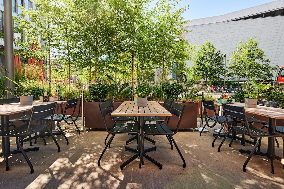 Slide Background Image