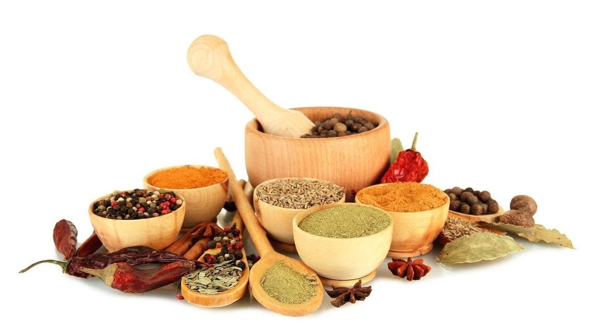 Dosa Hut Jersey City