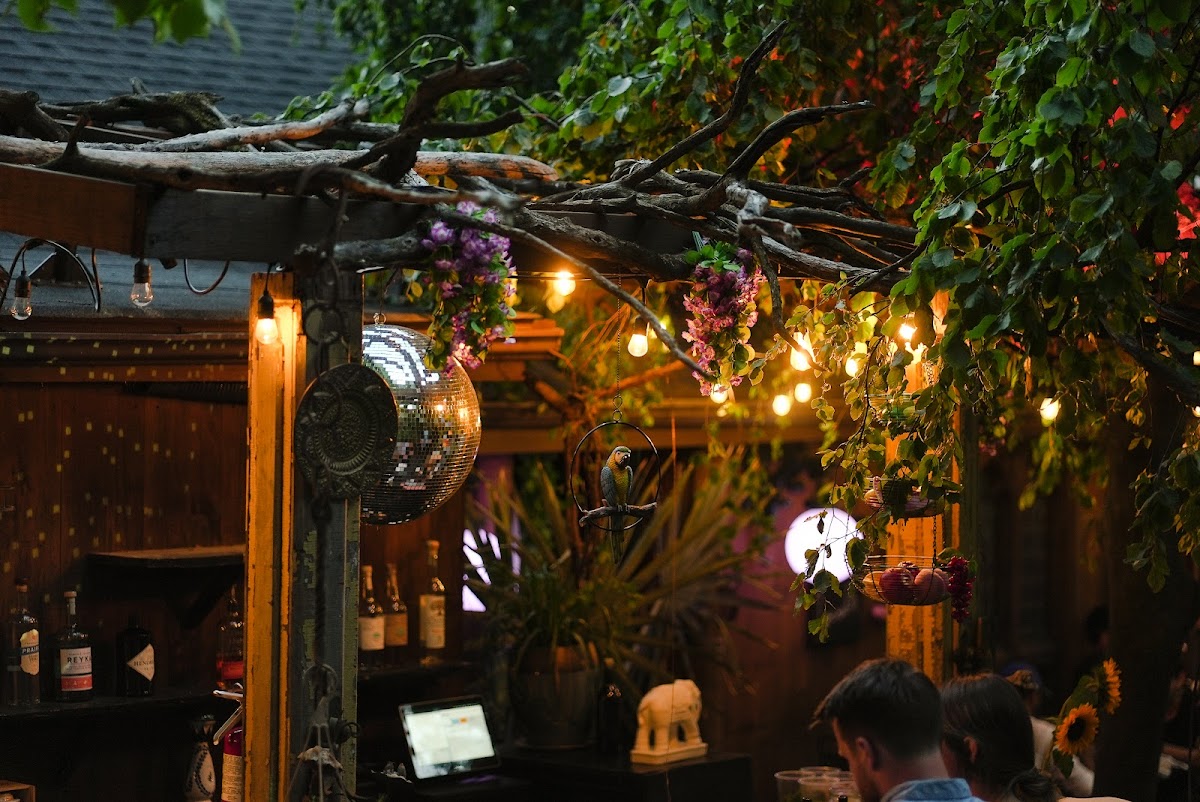 Slide Background Image