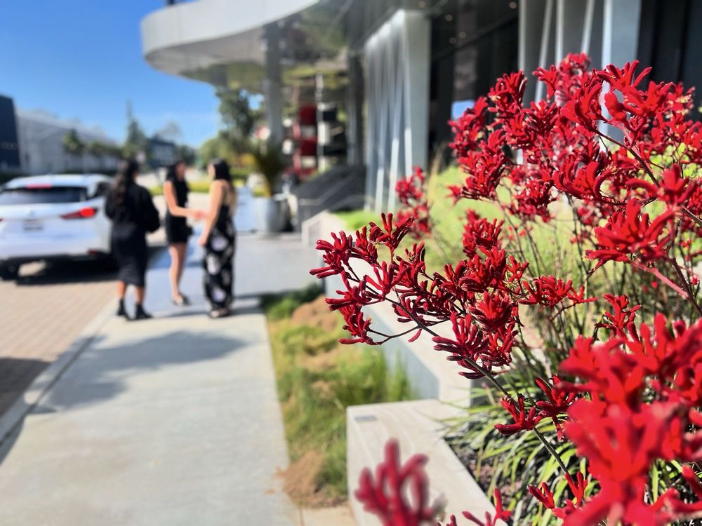 Eddie V’s Prime Seafood