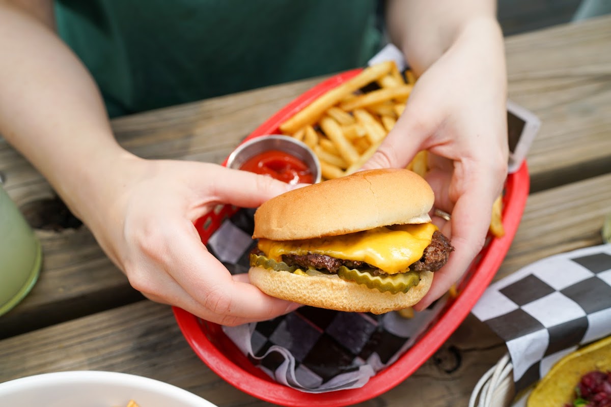 Slide Background Image