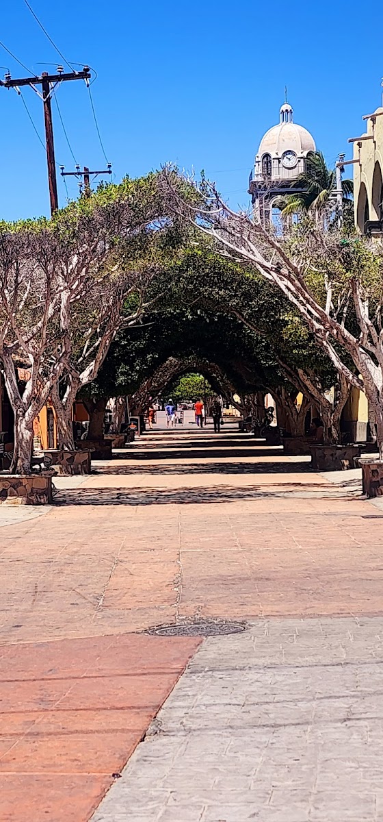 Slide Background Image