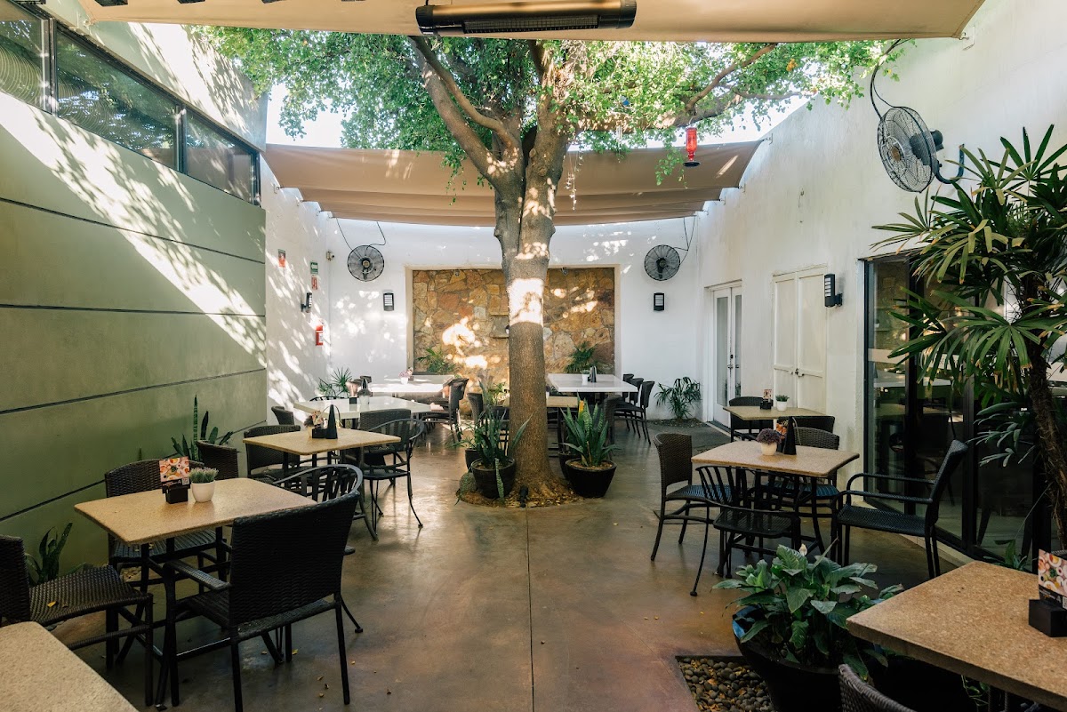 Slide Background Image