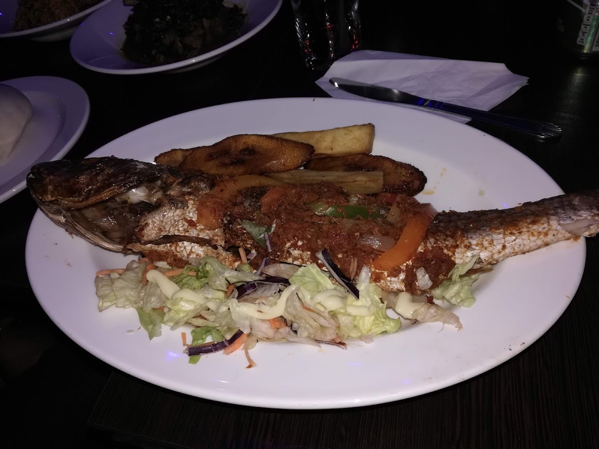 Slide Background Image