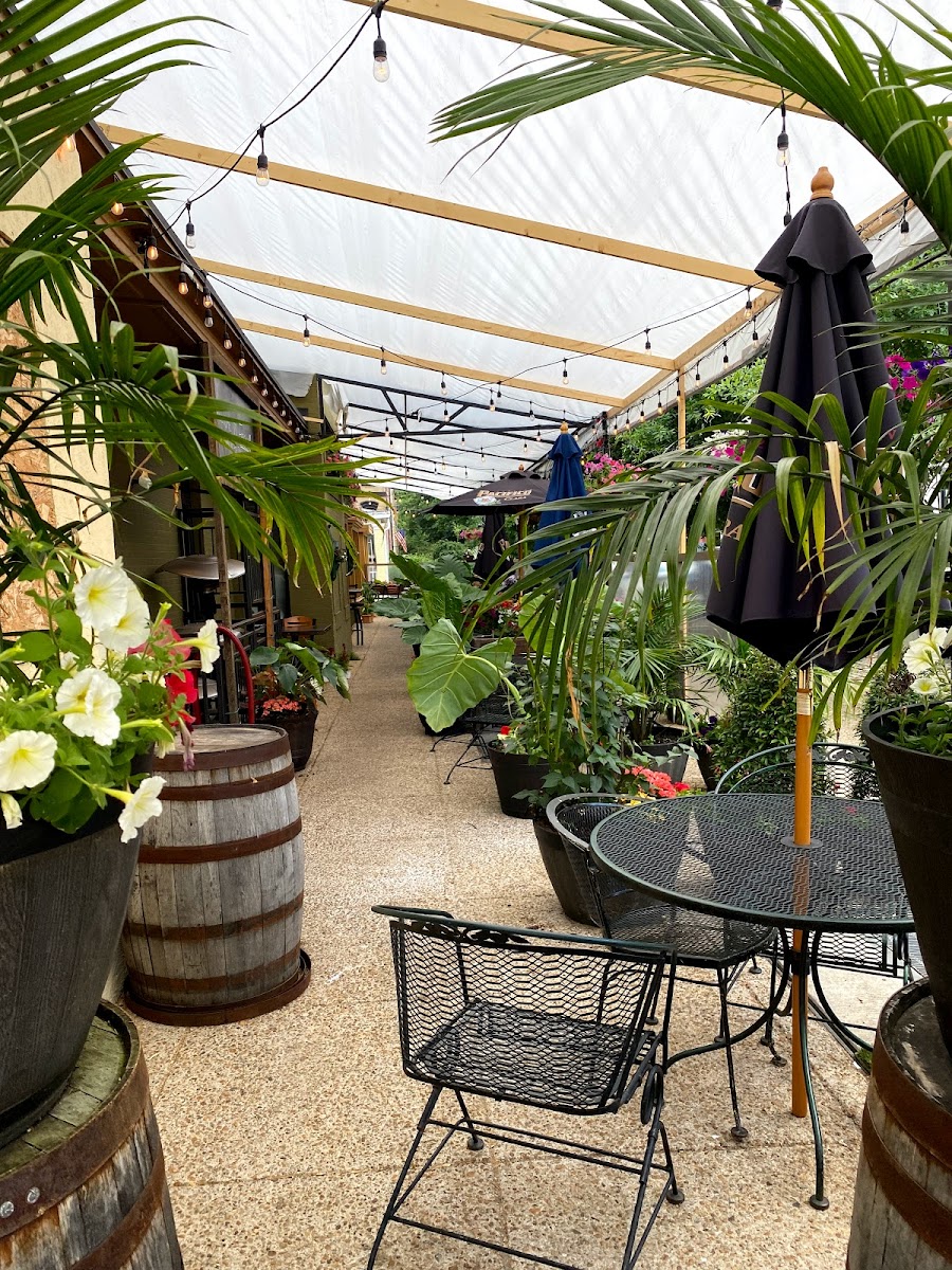 Slide Background Image