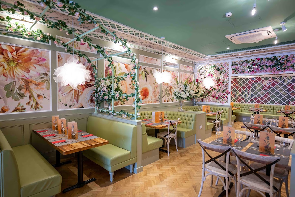 Slide Background Image