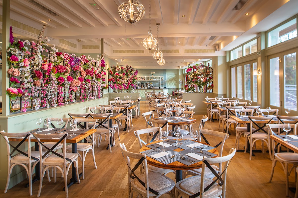 Slide Background Image