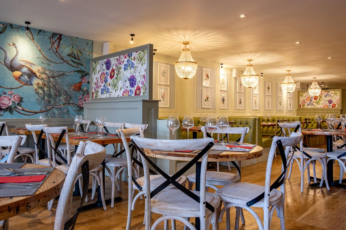 Slide Background Image