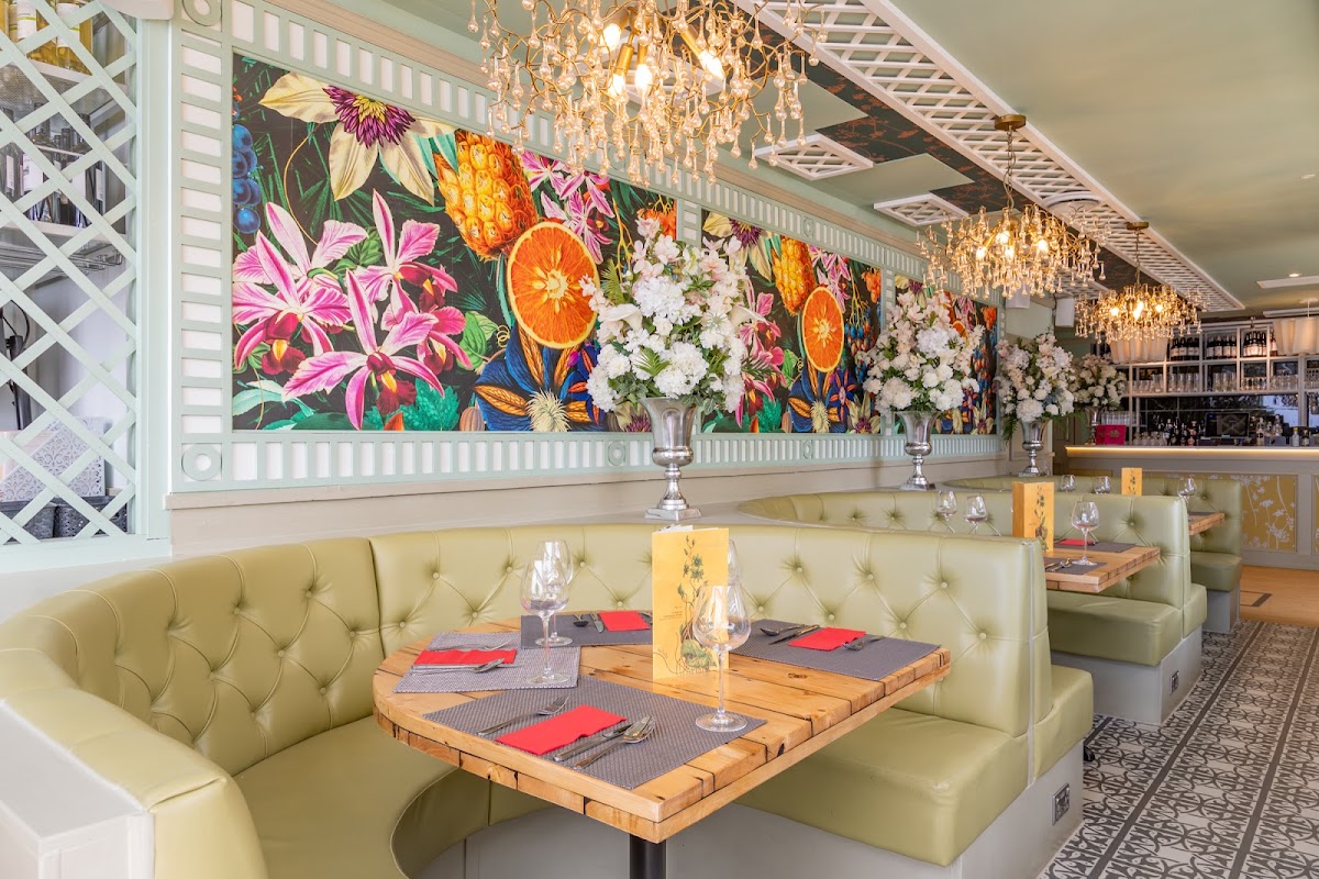 Slide Background Image