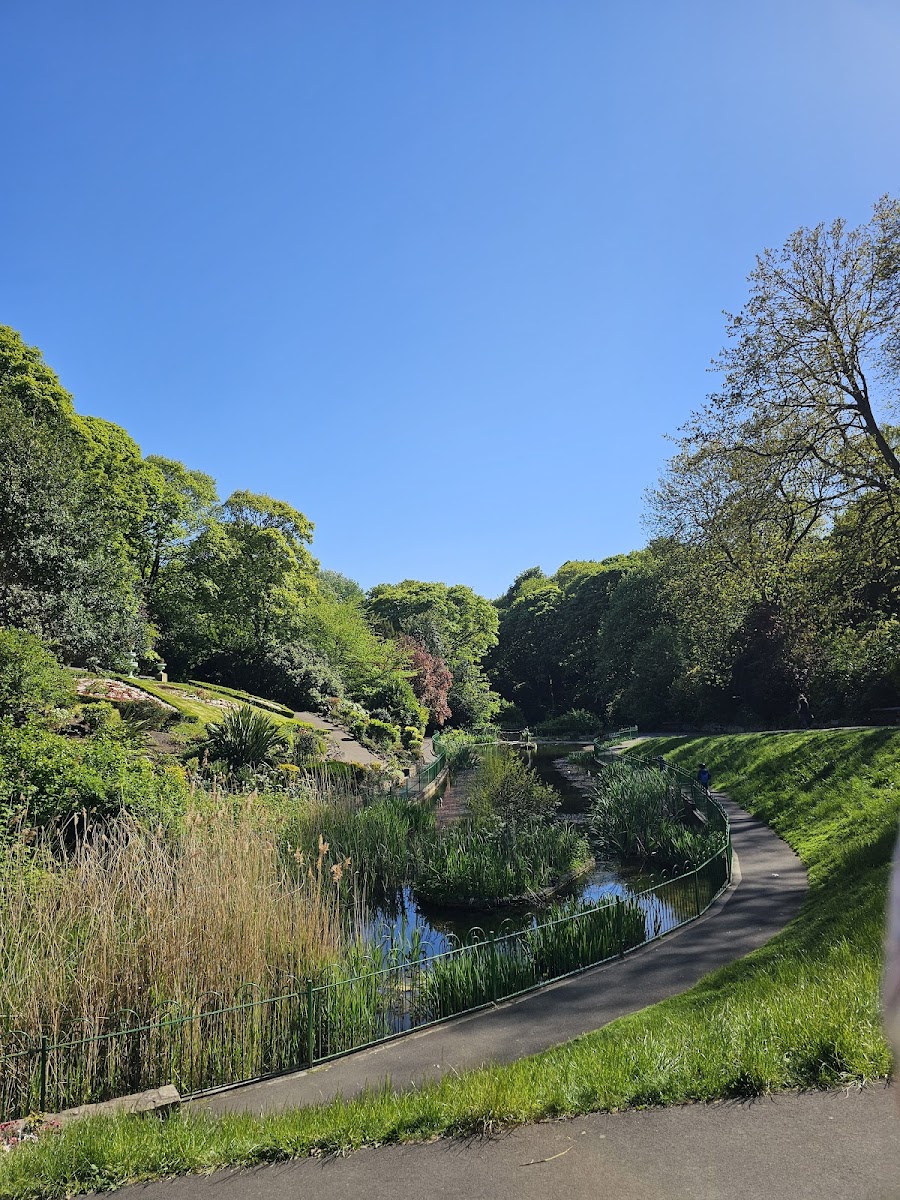 Slide Background Image