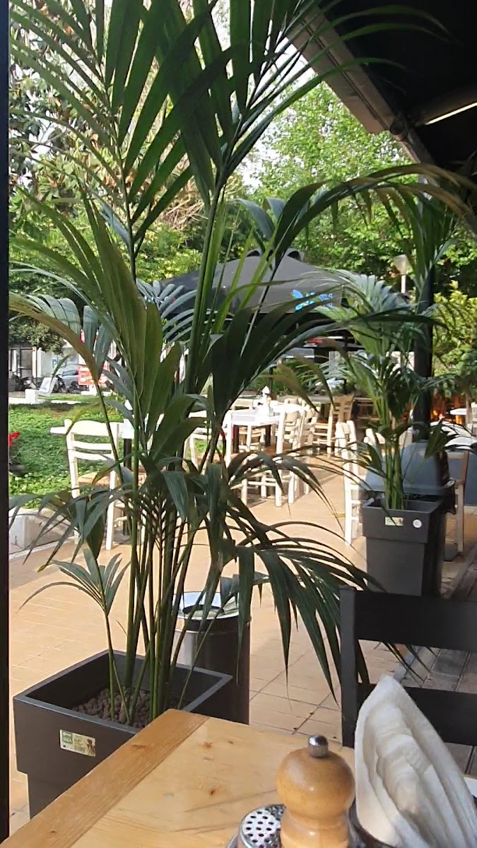 Slide Background Image