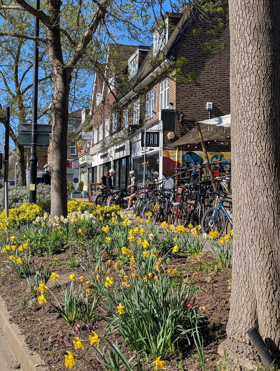 Slide Background Image