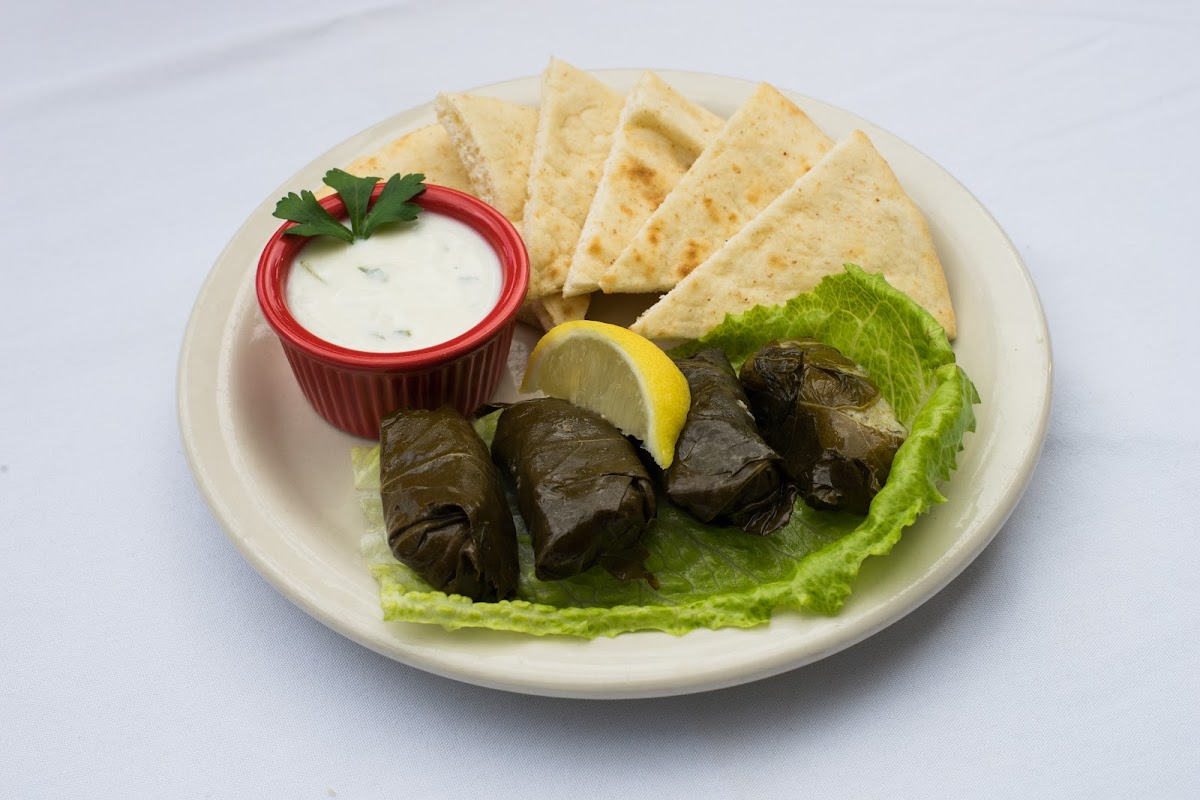 Slide Background Image