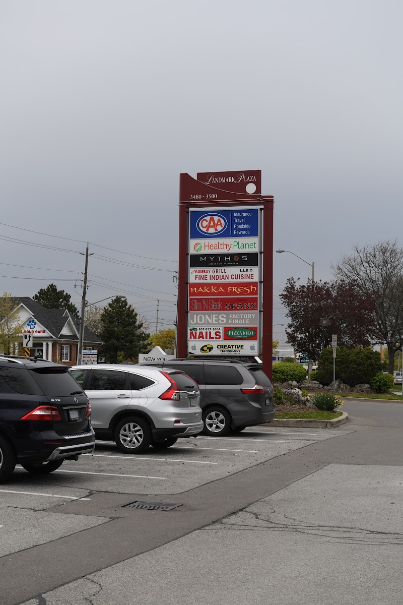 Slide Background Image