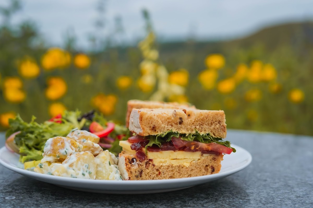 Slide Background Image