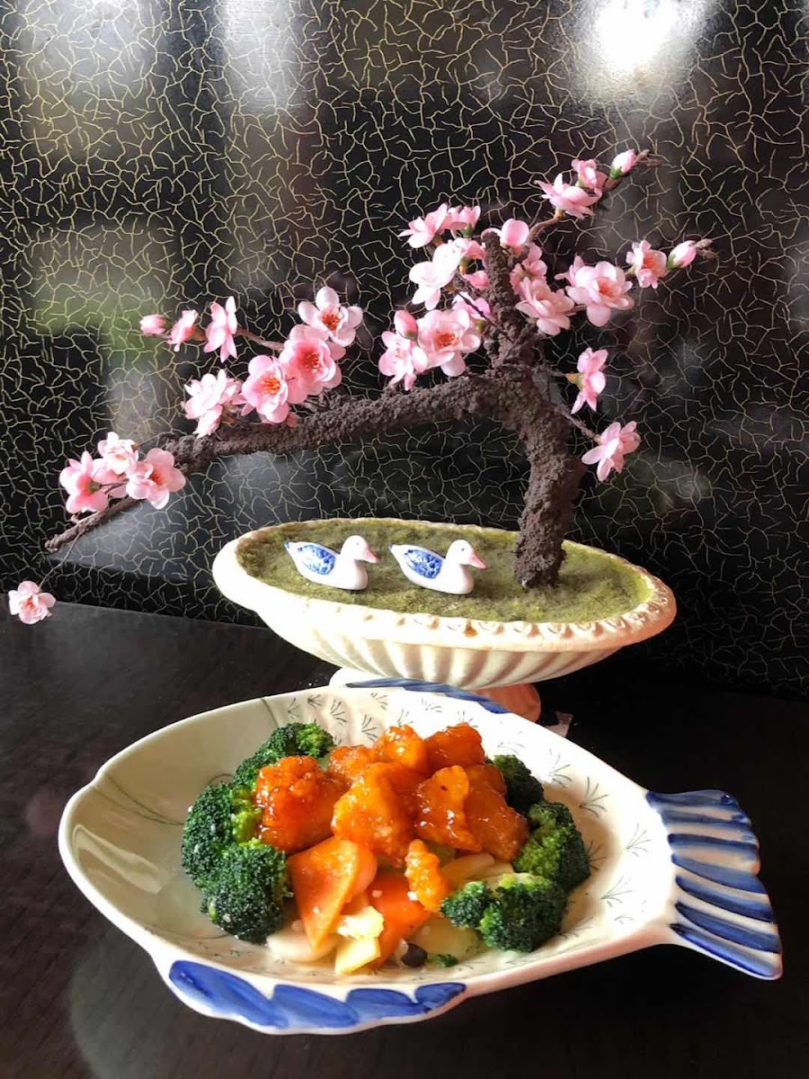 Slide Background Image