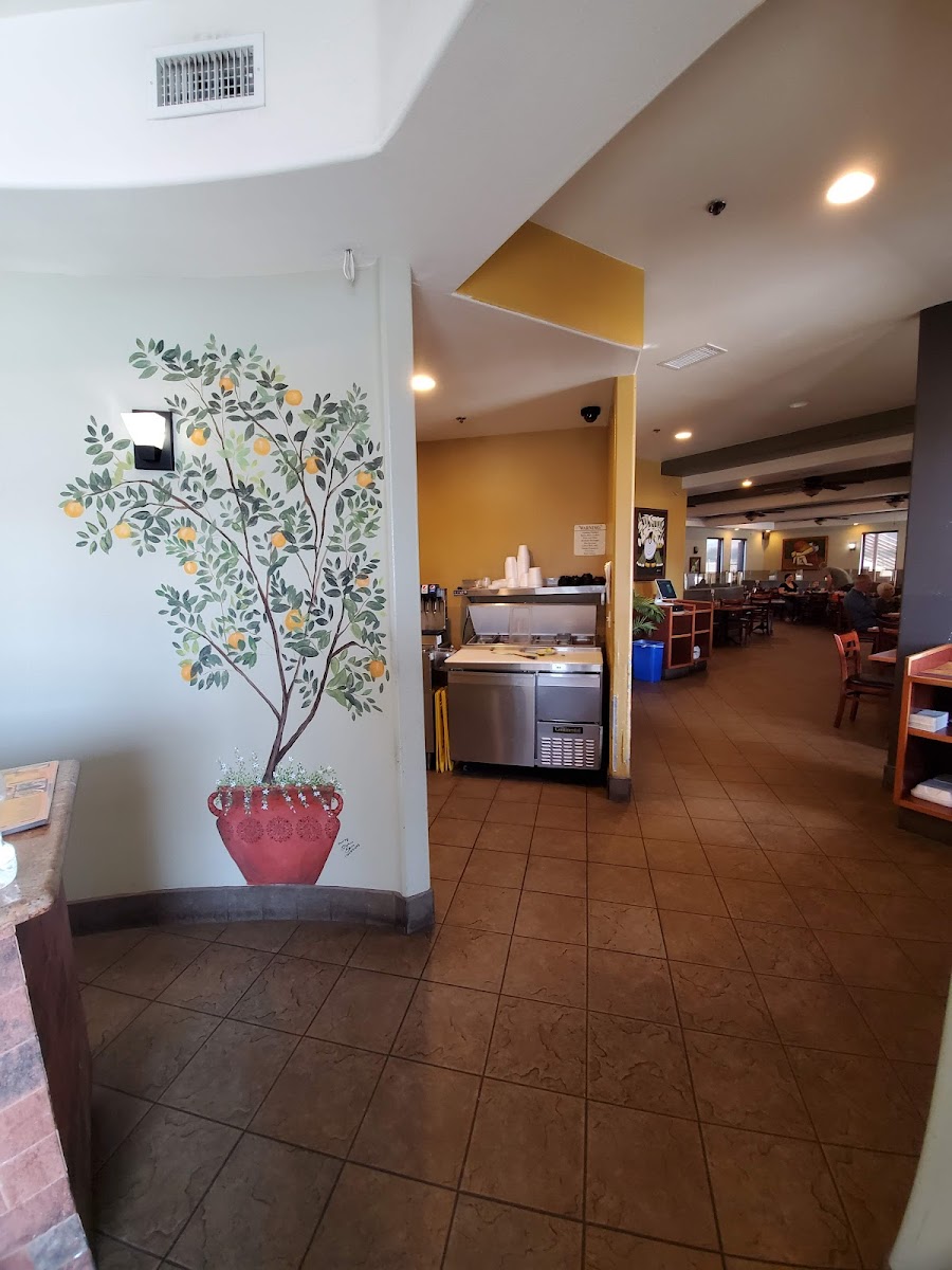 Slide Background Image