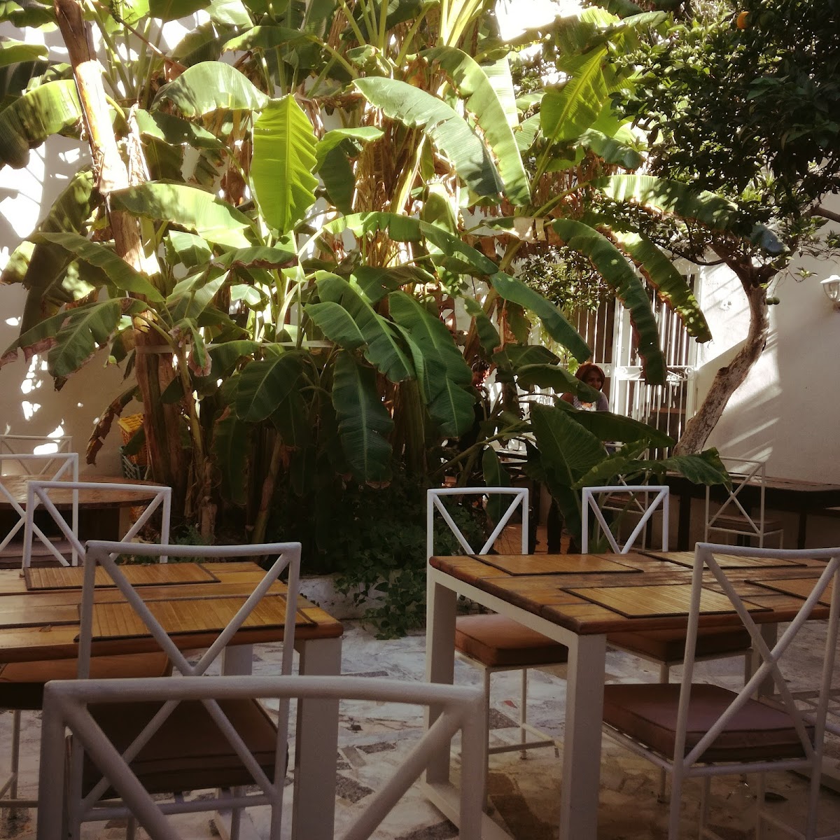 Slide Background Image