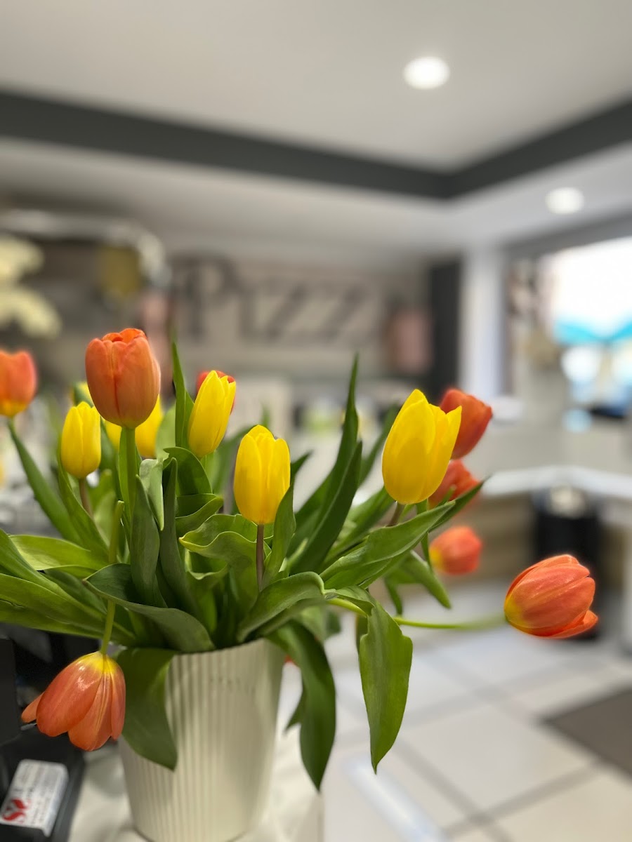 Slide Background Image