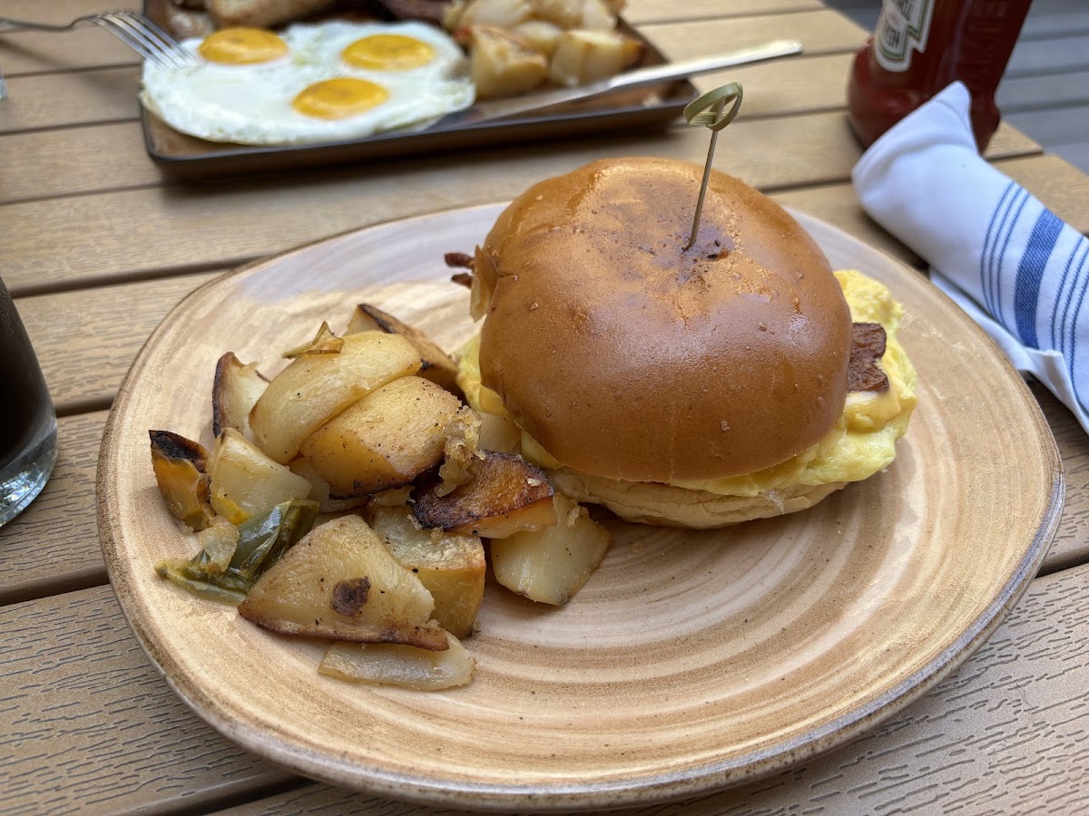 Slide Background Image