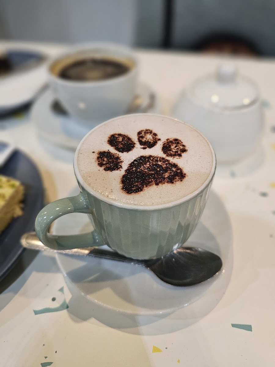 Slide Background Image