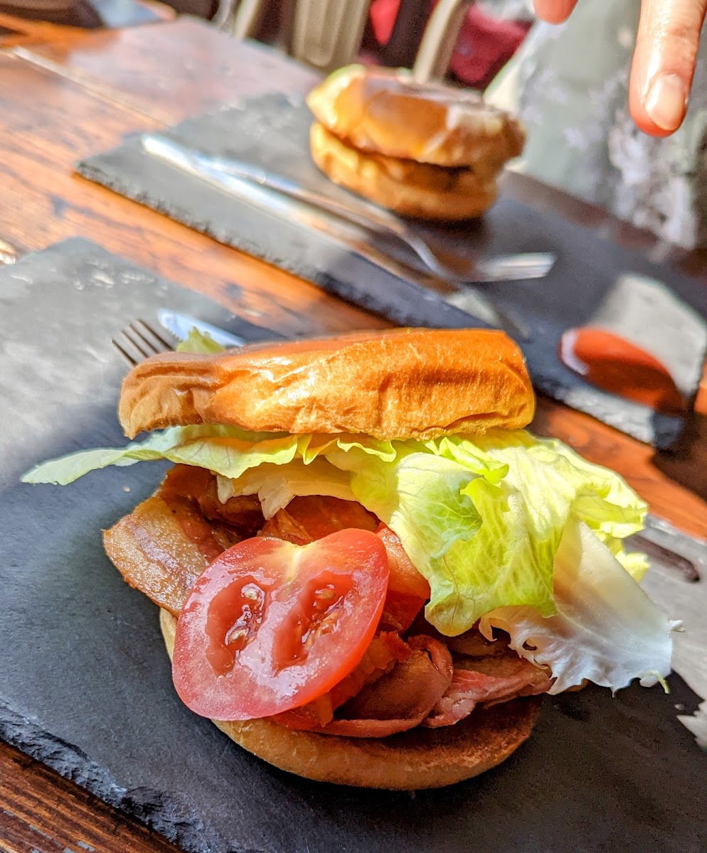 Slide Background Image