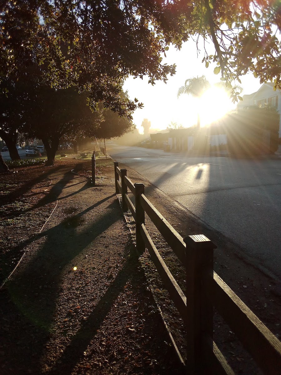 Philz Coffee Studio City