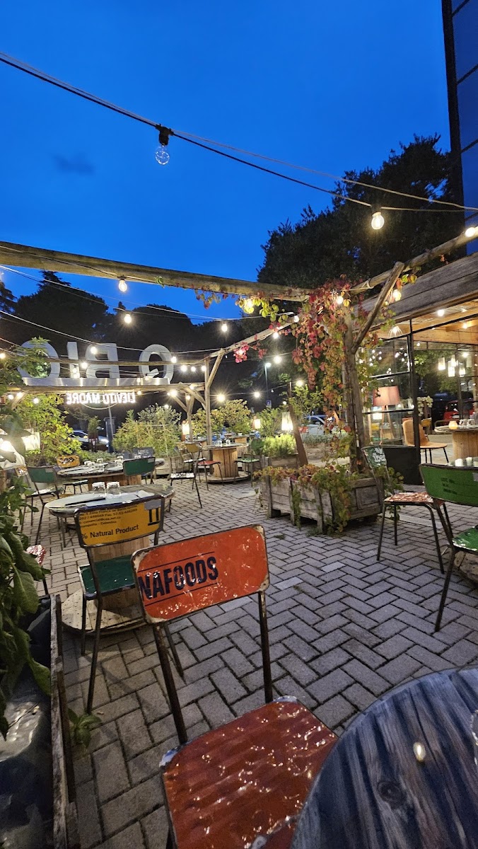 Slide Background Image