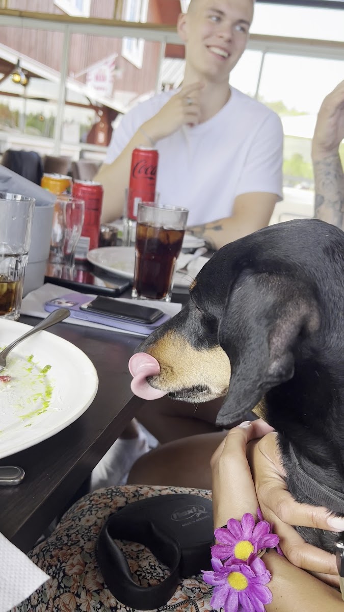 Slide Background Image