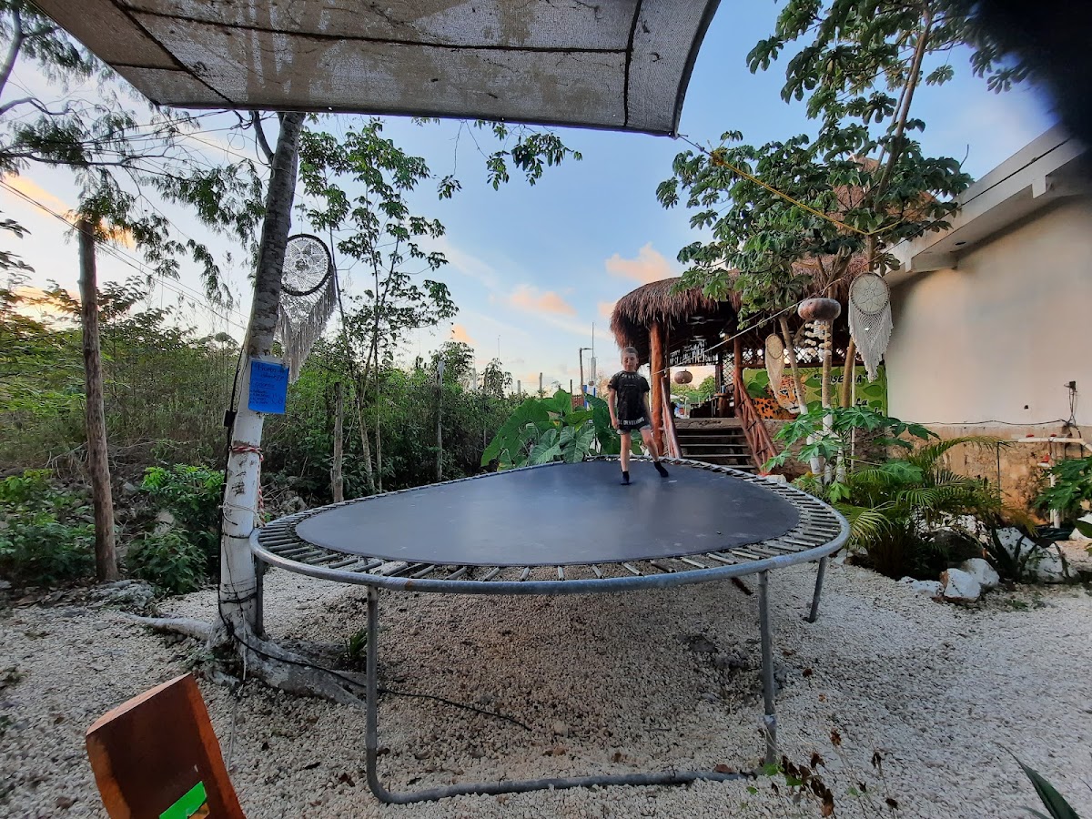 Slide Background Image