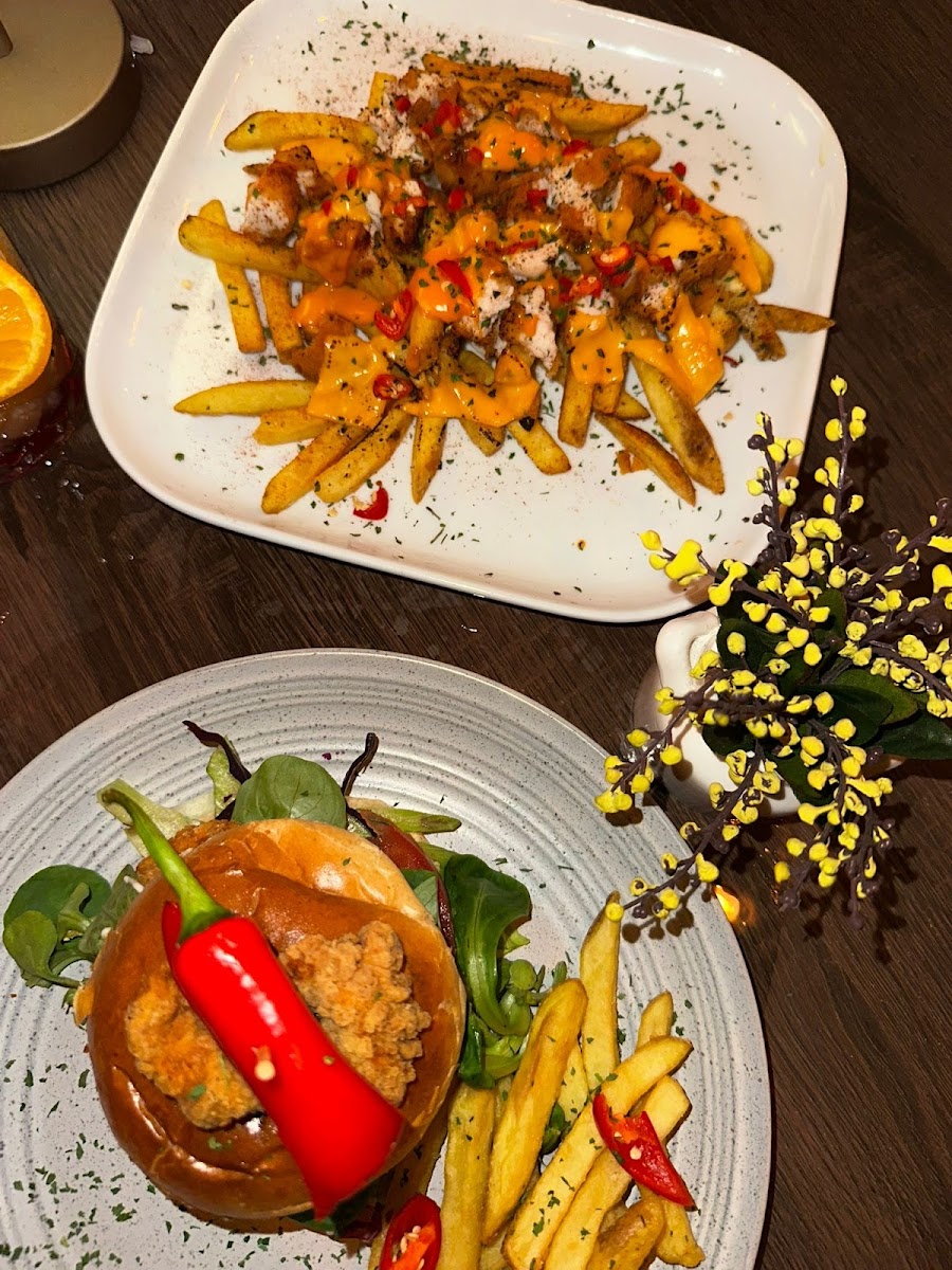 Slide Background Image