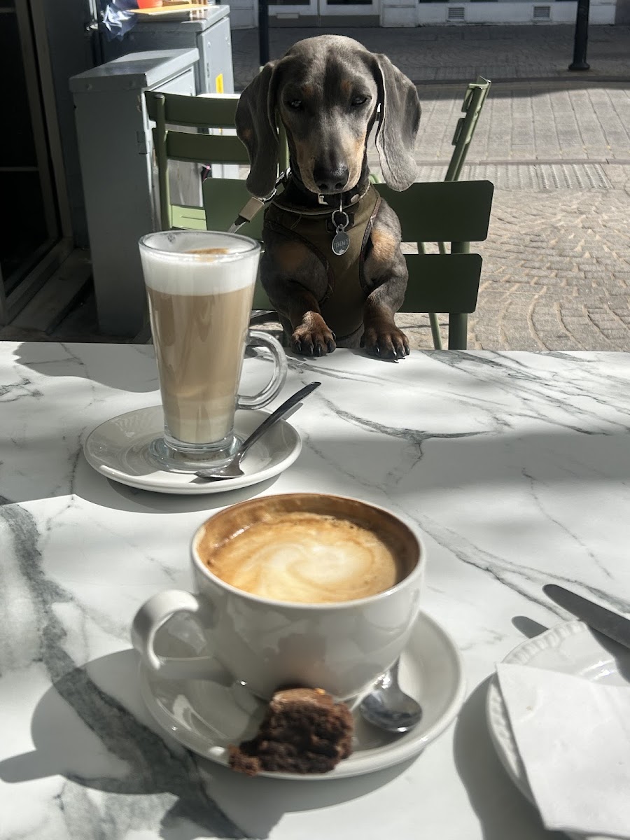 Slide Background Image